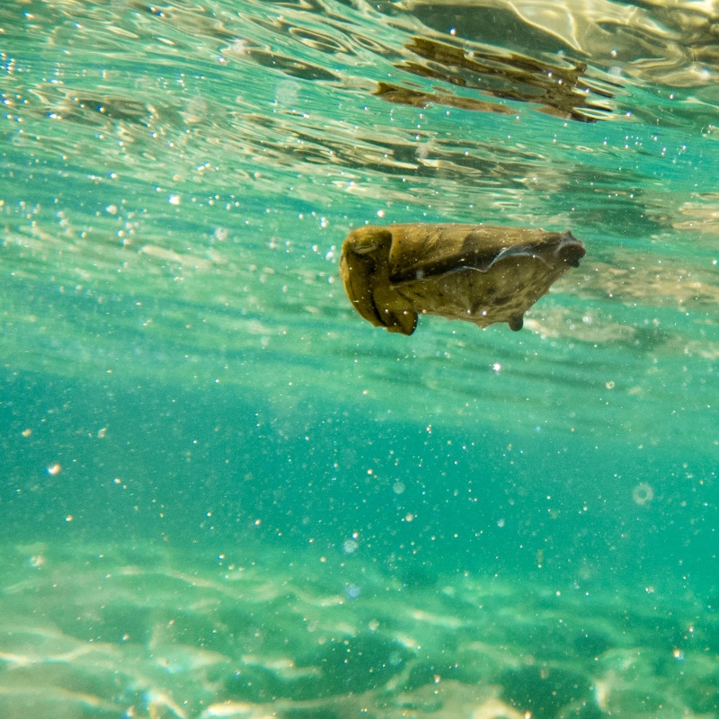 2016 Japan, Okinawa