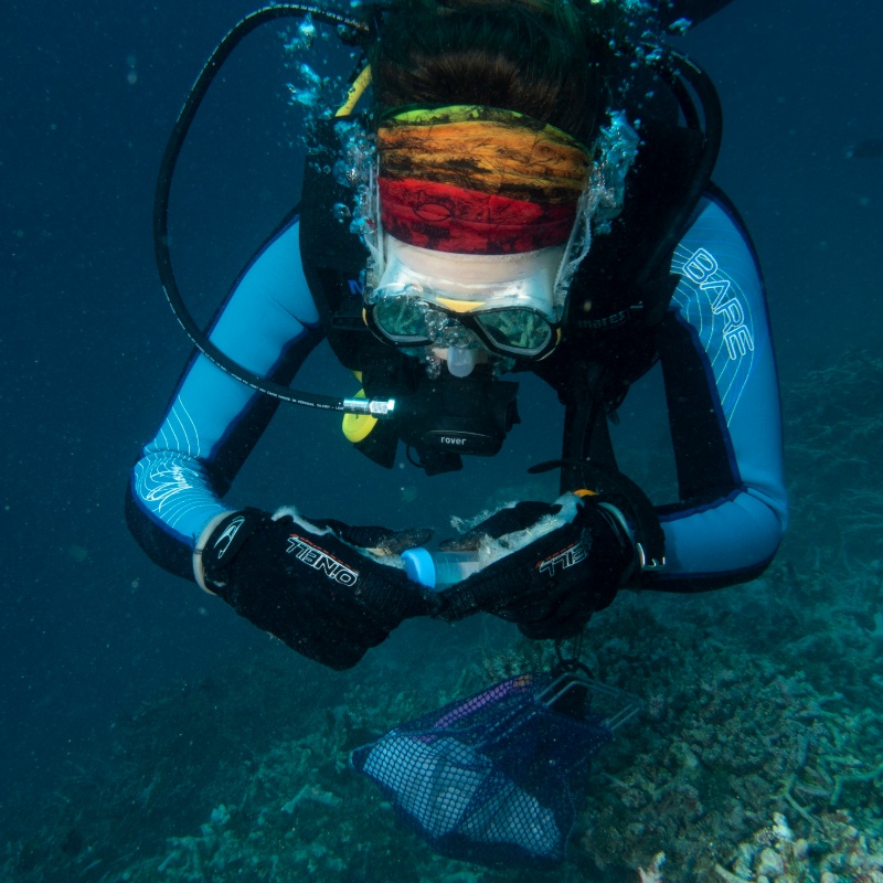 2019 Maldives, Magoodhoo Island
