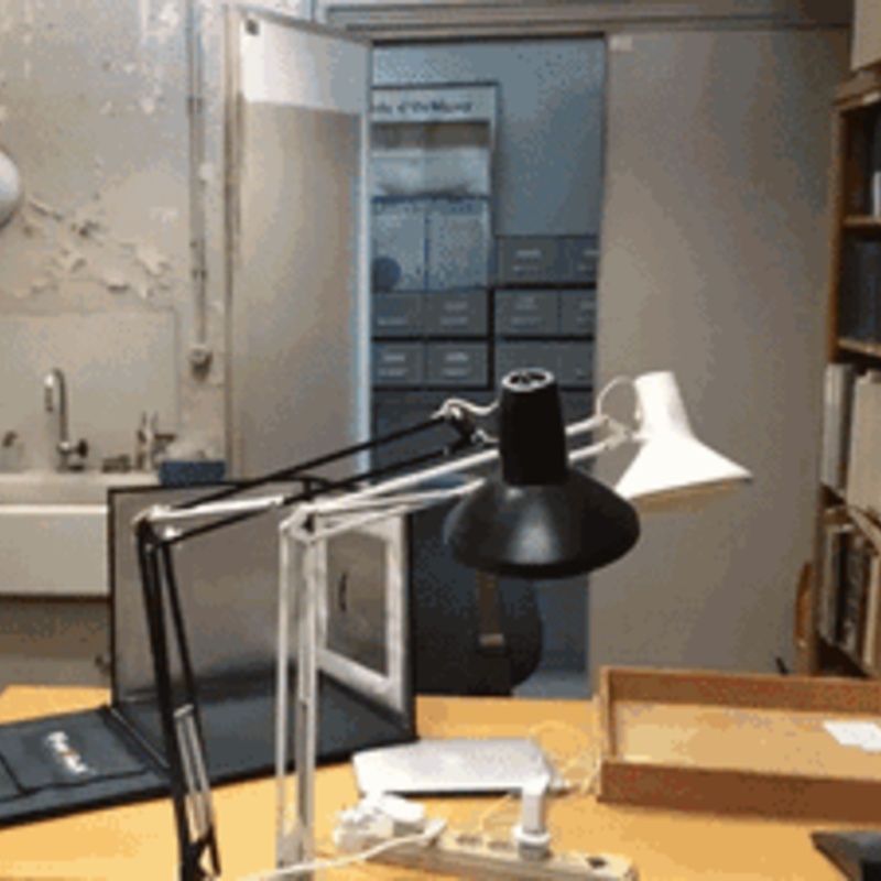 Time-lapse: photographing fossil shells at the National Museum of Natural History in Paris