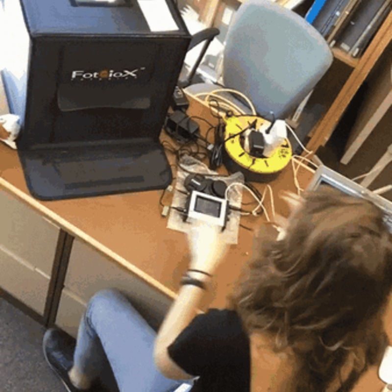 Time-lapse: working at the Oxford University Museum of Natural History