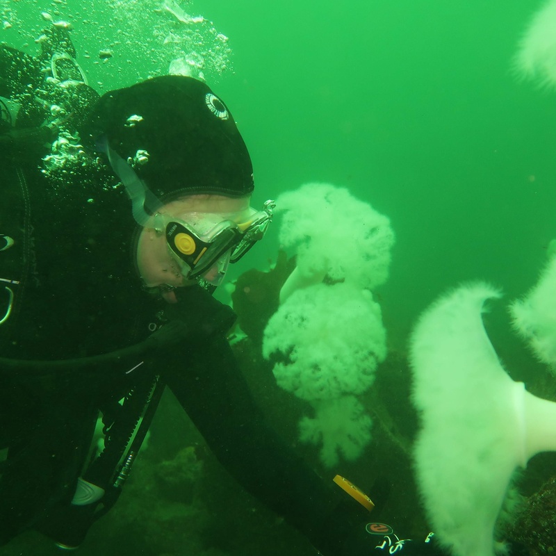 Tauana with a frizzle anemone