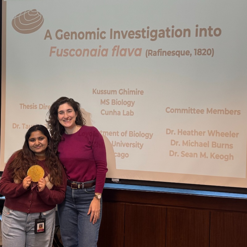 Kussum thesis proposal