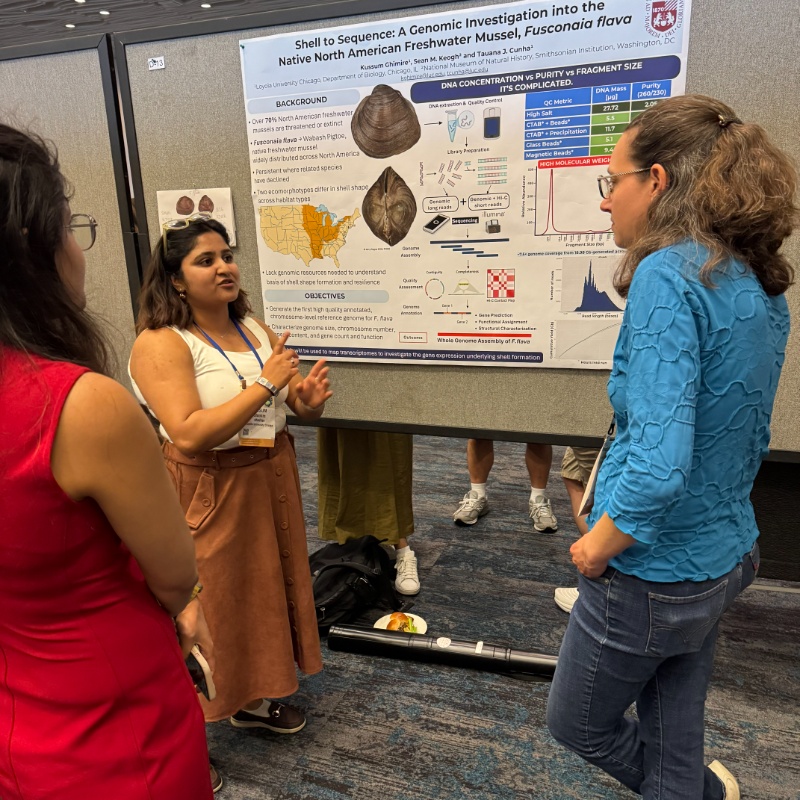 Kussum on getting HMW for a freshwater mussel