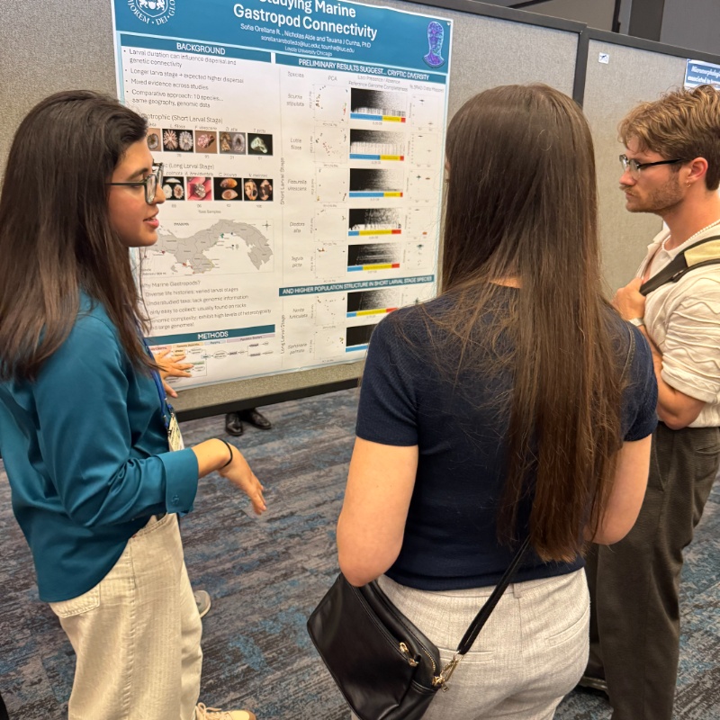 Sofi on cryptic species in the Eastern Pacific