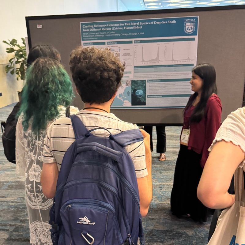 Afrah on genomics of new deep-sea species