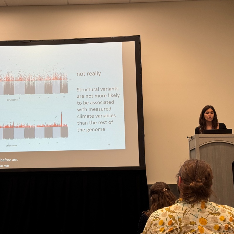 Monique on structural variants in polychaete genomes