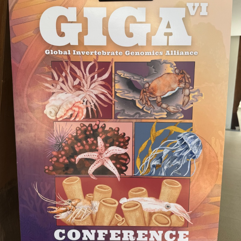 Invertebrate genomics meeting in the Philippines