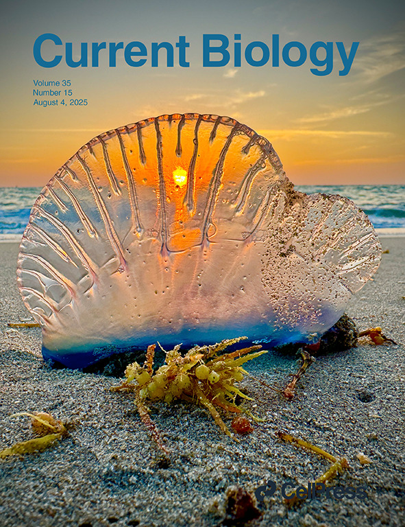 Cover for Population genomics of a sailing siphonophore reveals genetic structure in the open ocean