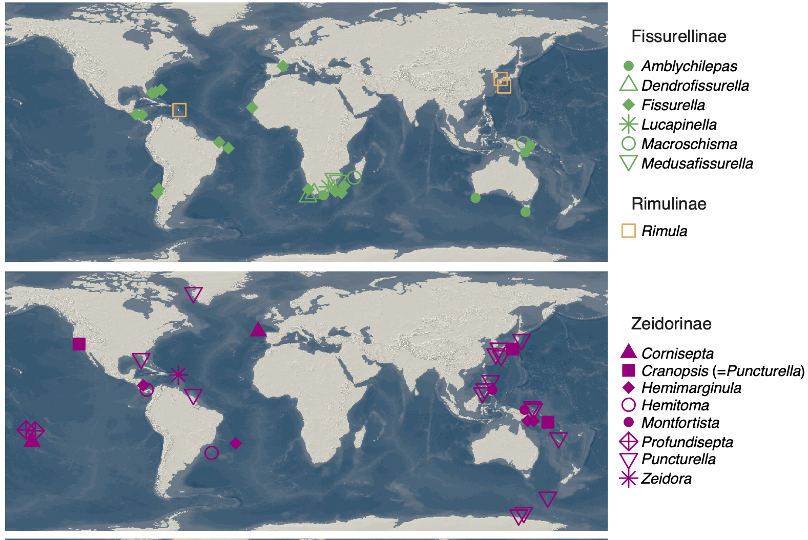 Geographical distribution of Fissurellidae